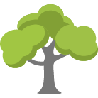 El Dorado Hills Tree Trimming