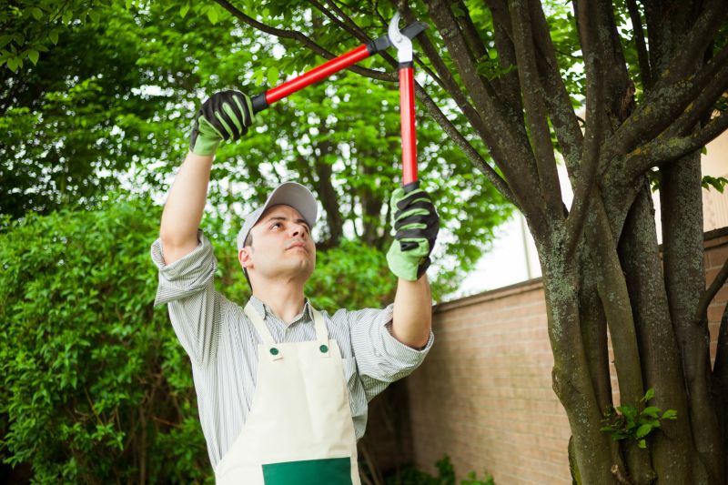 Tree Service Professionals