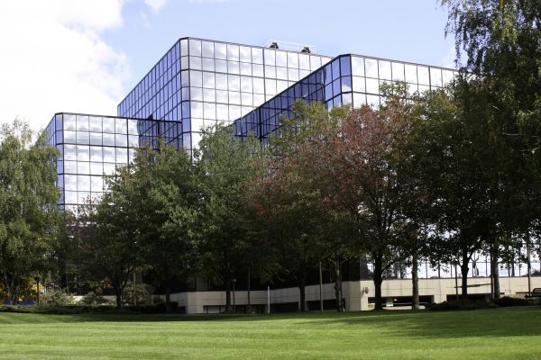 Commercial Tree Trimming Service